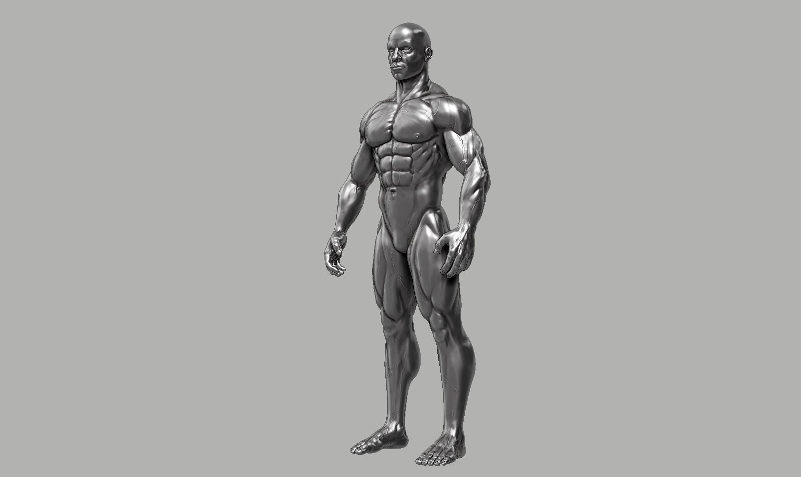 Male anatomy reference 3D print model 3D print model_46
