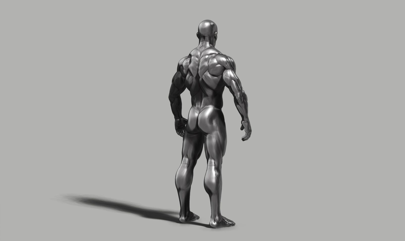 Male anatomy reference 3D print model 3D print model_33