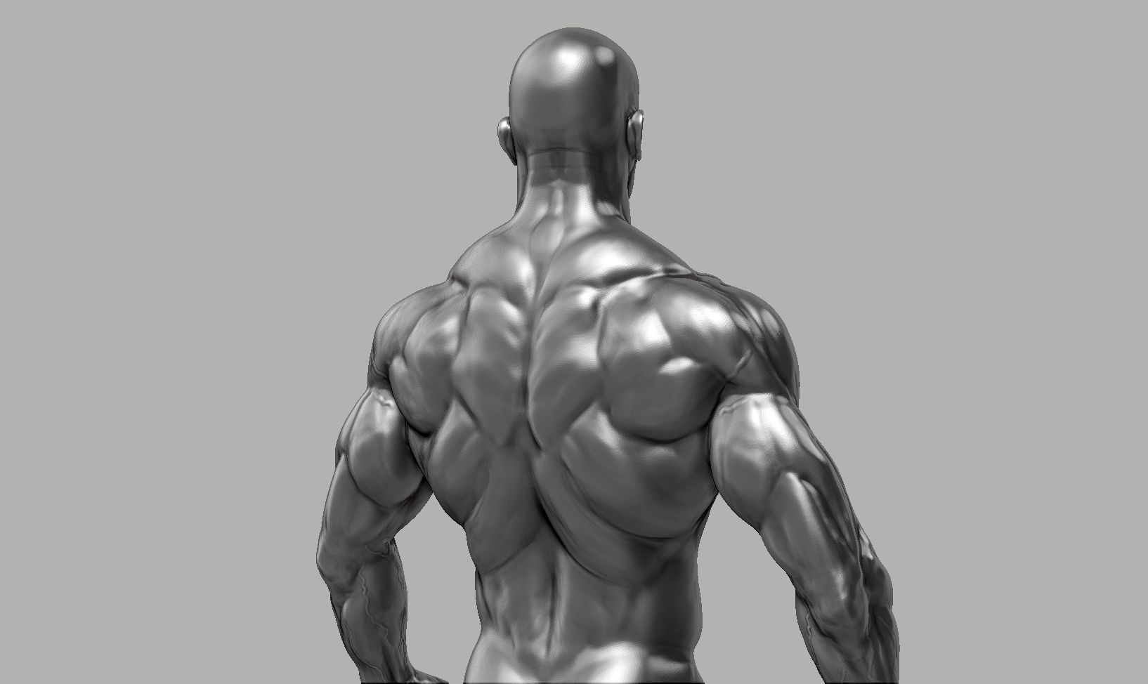 Male anatomy reference 3D print model 3D print model_12