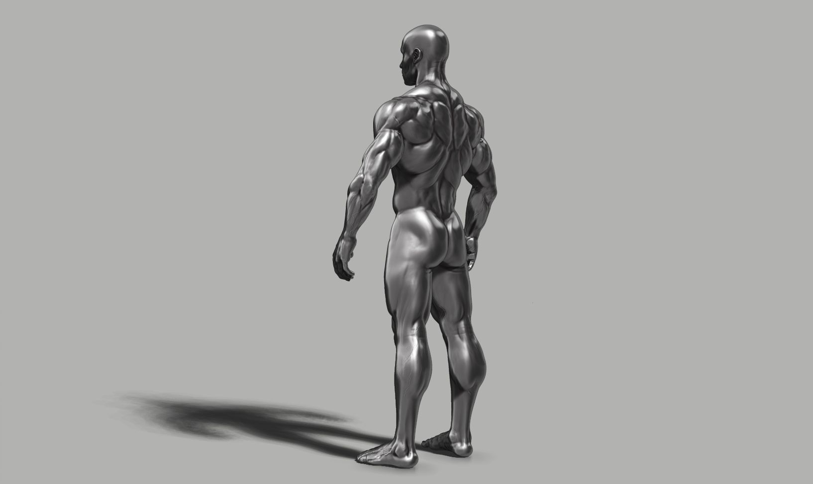 Male anatomy reference 3D print model 3D print model_37