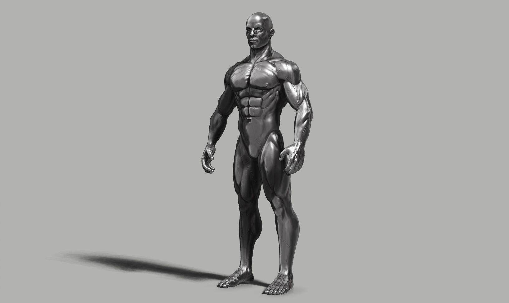 Male anatomy reference 3D print model 3D print model_39