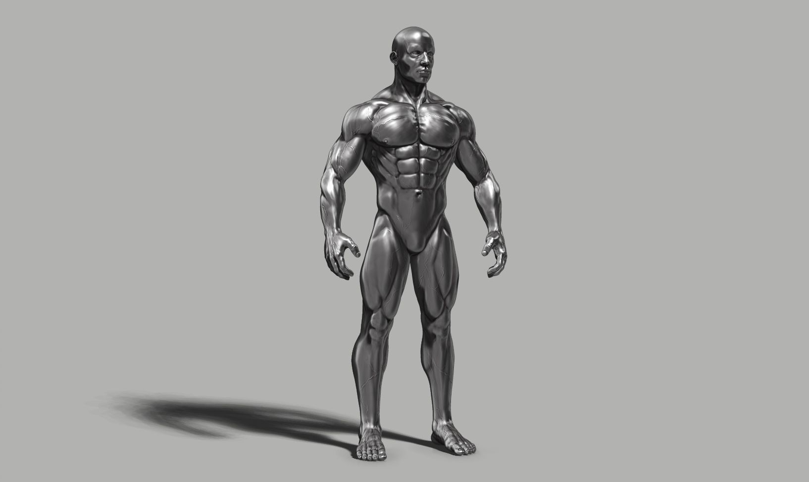 Male anatomy reference 3D print model 3D print model_29