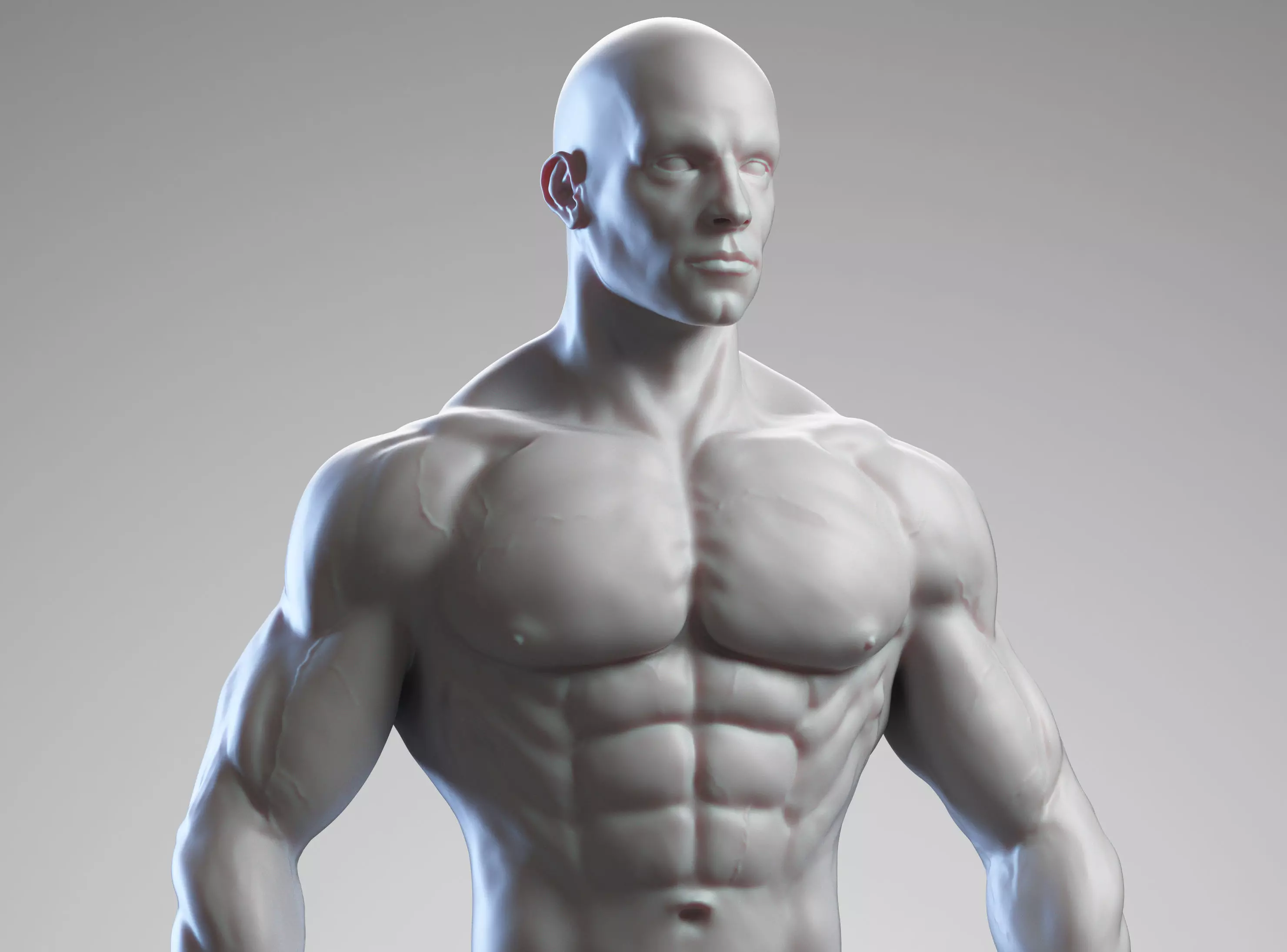 Male anatomy reference 3D print model 3D print model_0