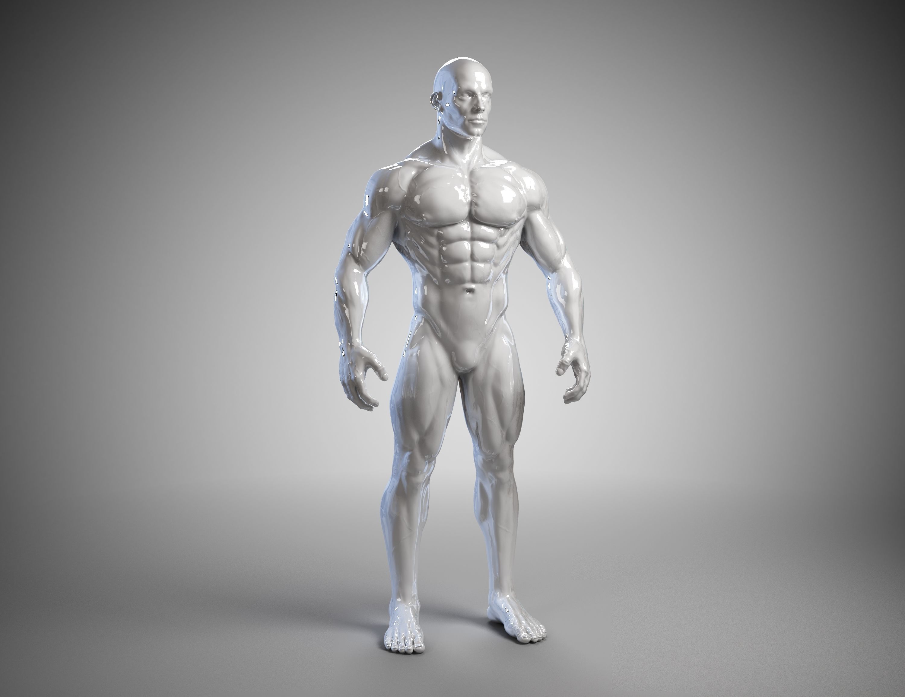Male anatomy reference 3D print model 3D print model_28