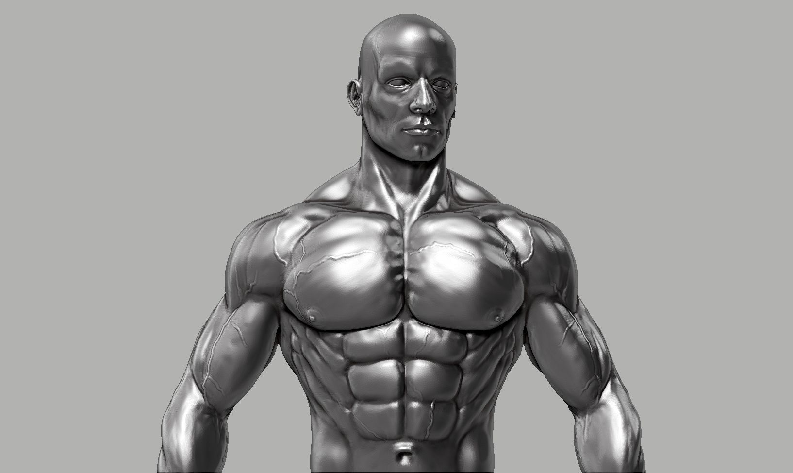 Male anatomy reference 3D print model 3D print model_9