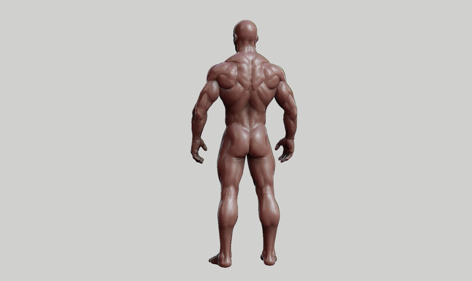Male anatomy reference 3D print model 3D print model_49