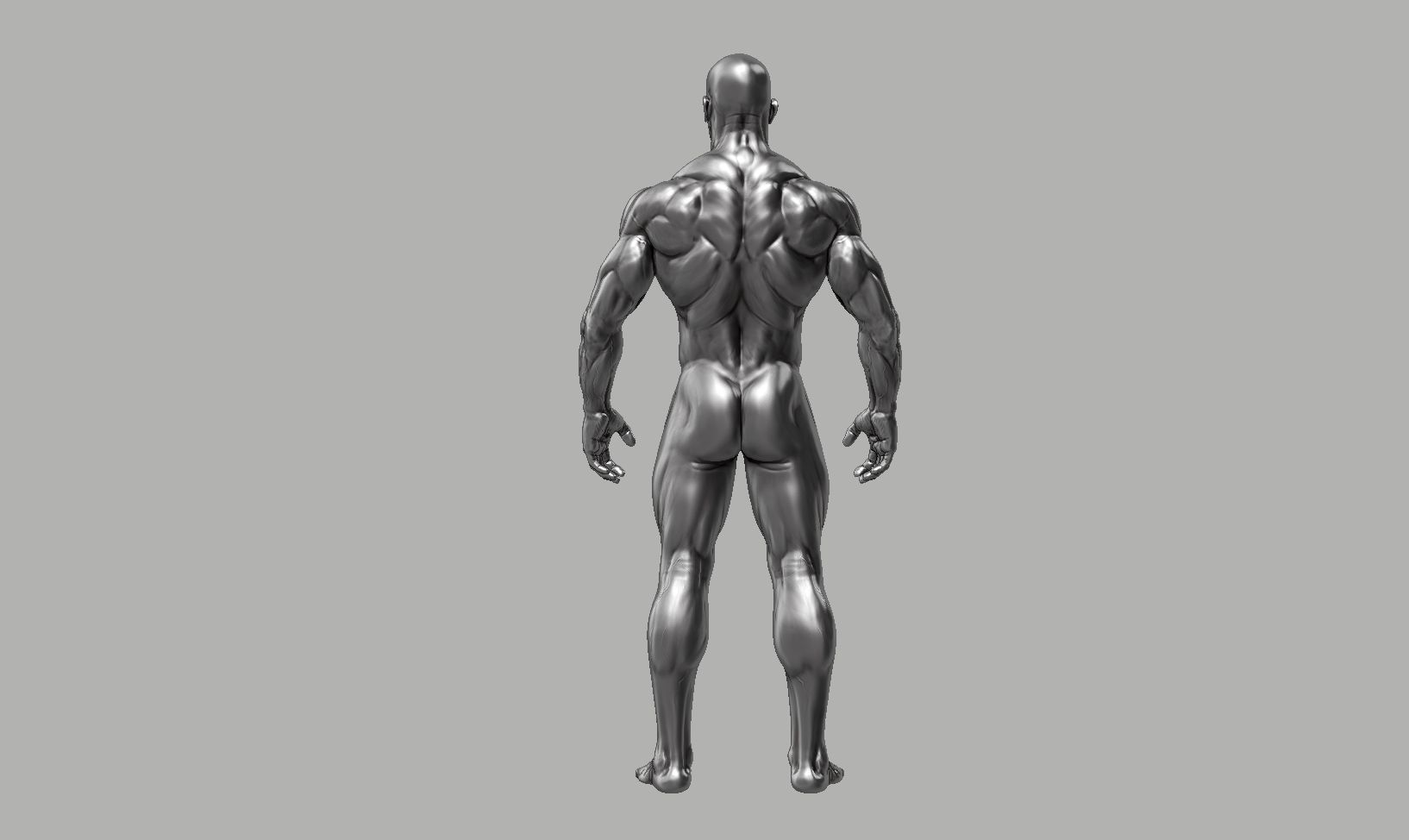 Male anatomy reference 3D print model 3D print model_45