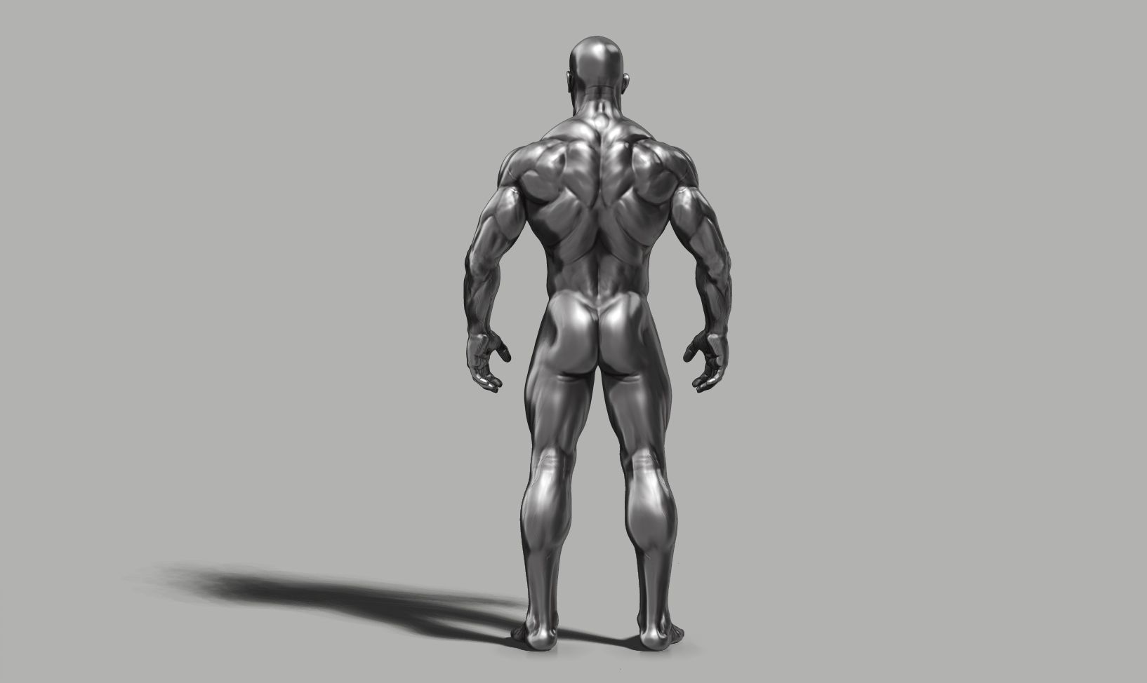 Male anatomy reference 3D print model 3D print model_35