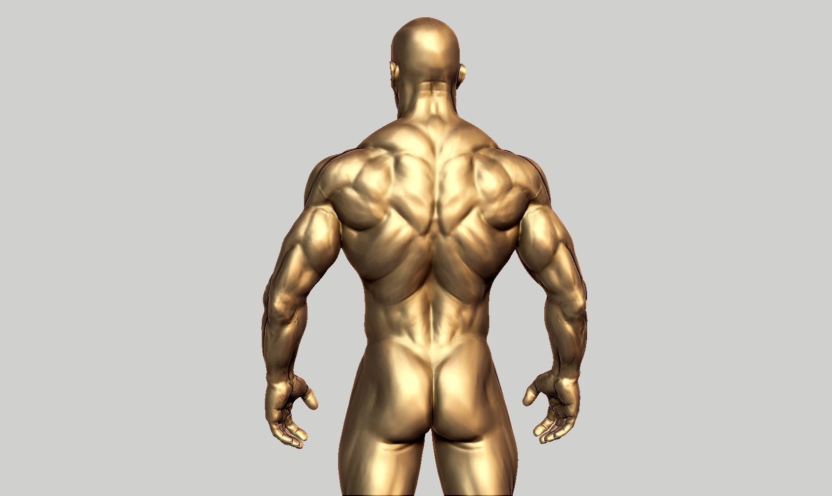 Male anatomy reference 3D print model 3D print model_20
