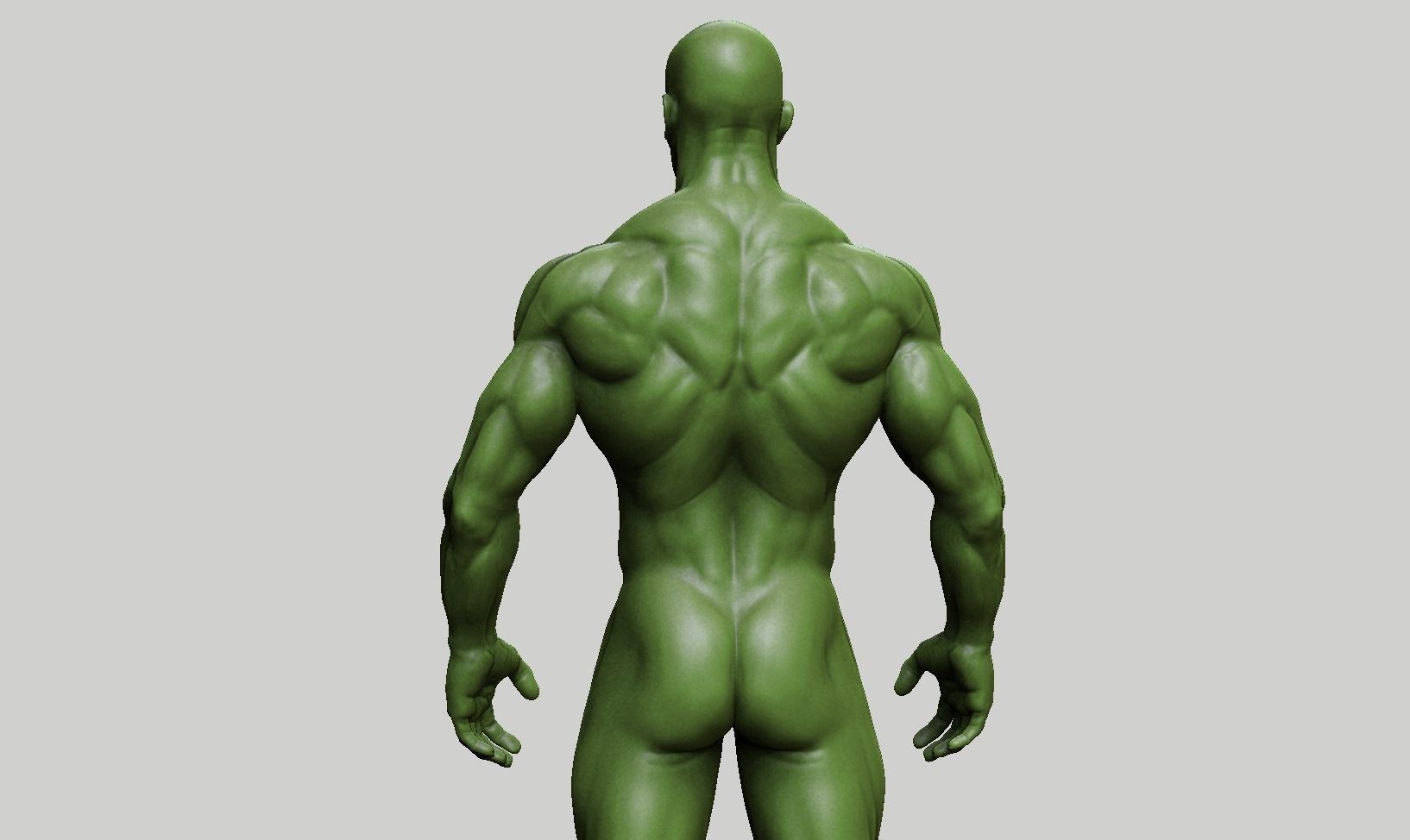 Male anatomy reference 3D print model 3D print model_55