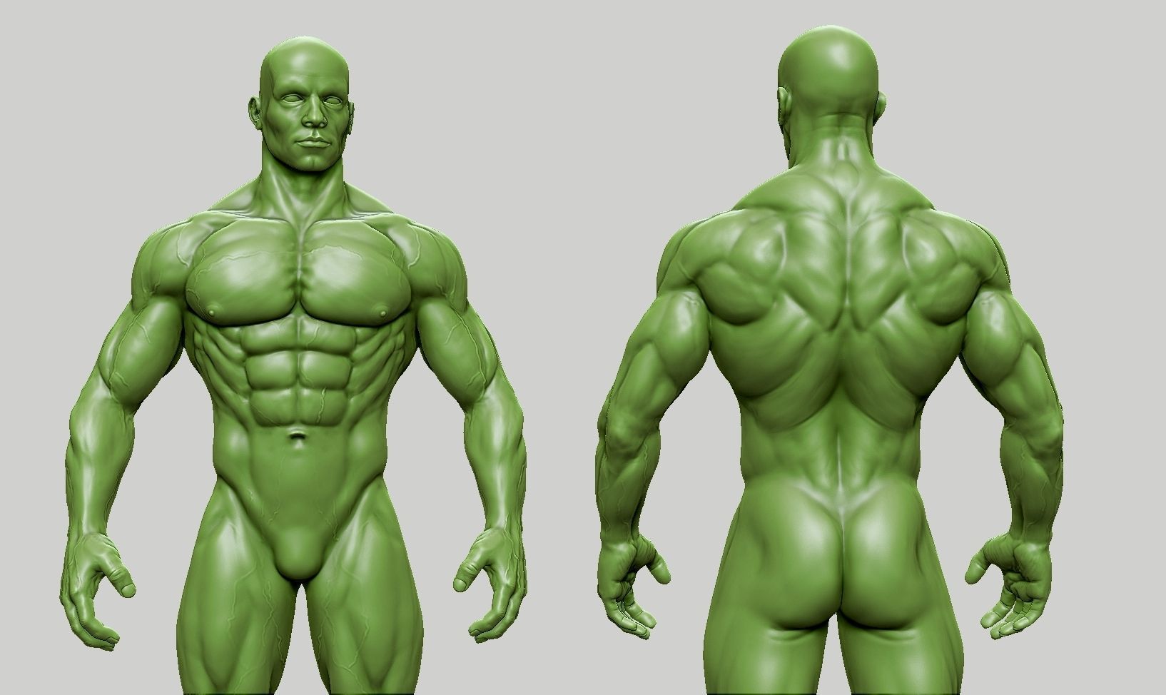 Male anatomy reference 3D print model 3D print model_16