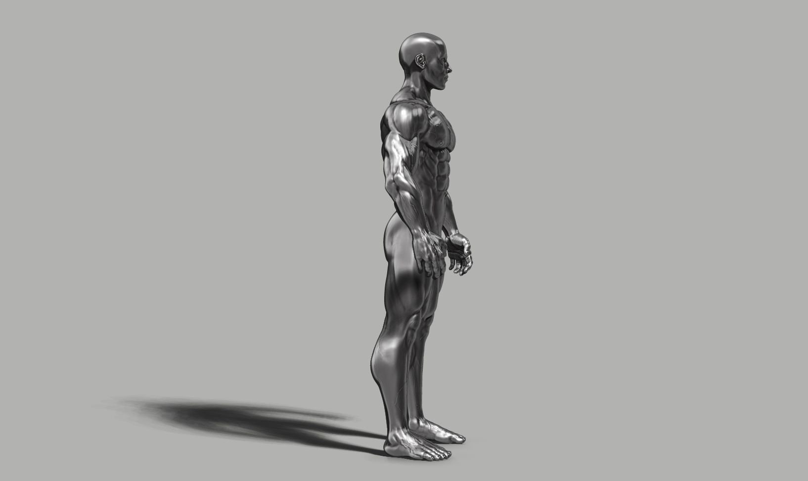Male anatomy reference 3D print model 3D print model_31