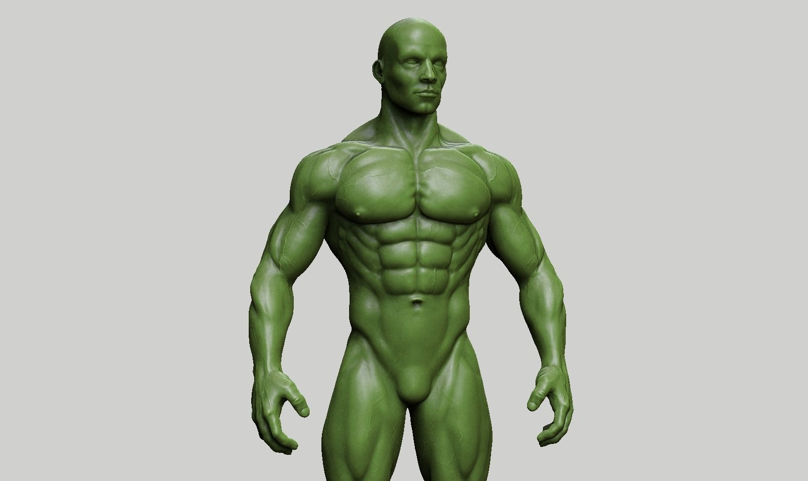 Male anatomy reference 3D print model 3D print model_54