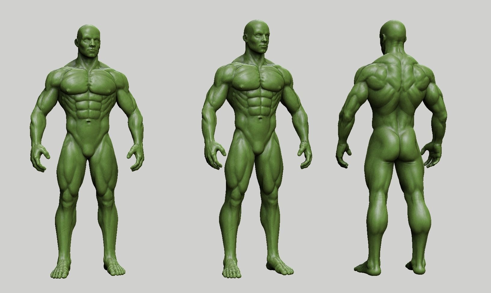 Male anatomy reference 3D print model 3D print model_53