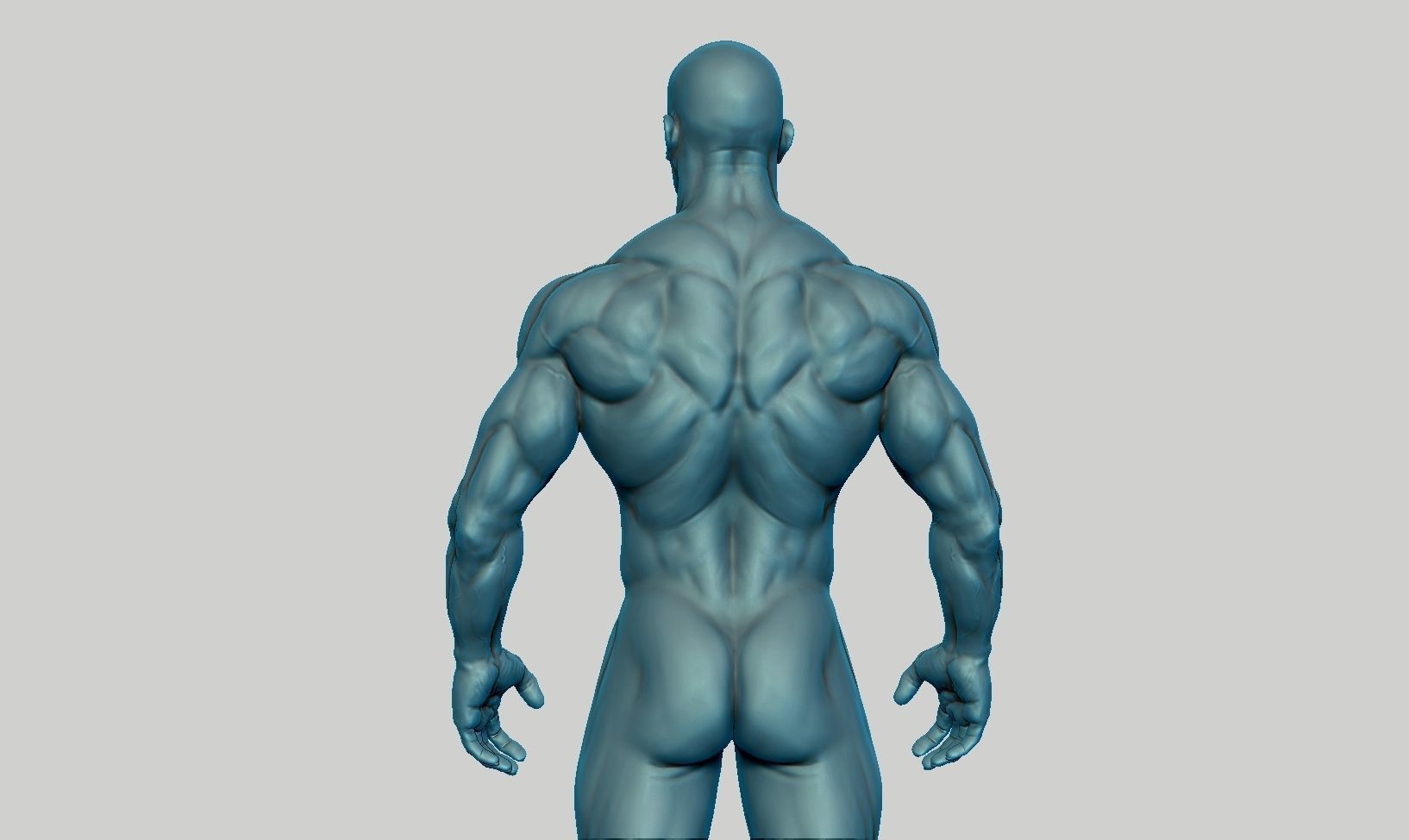 Male anatomy reference 3D print model 3D print model_18