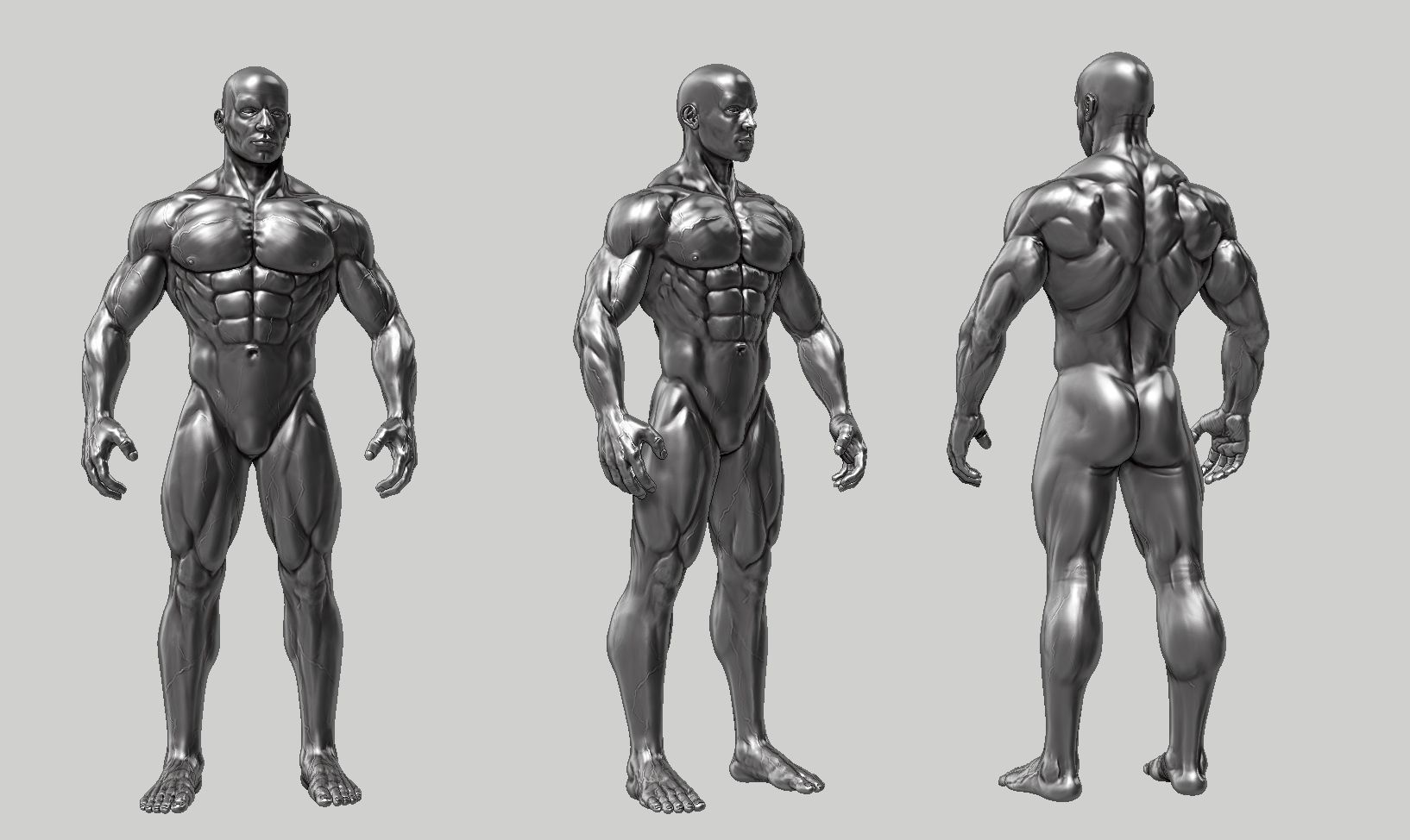 Male anatomy reference 3D print model 3D print model_51
