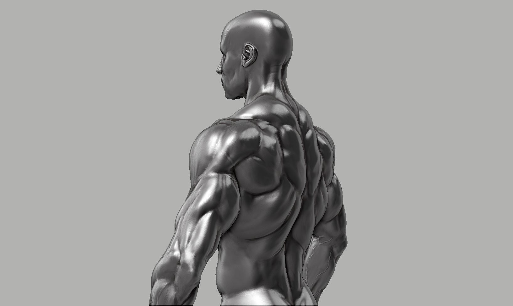 Male anatomy reference 3D print model 3D print model_14