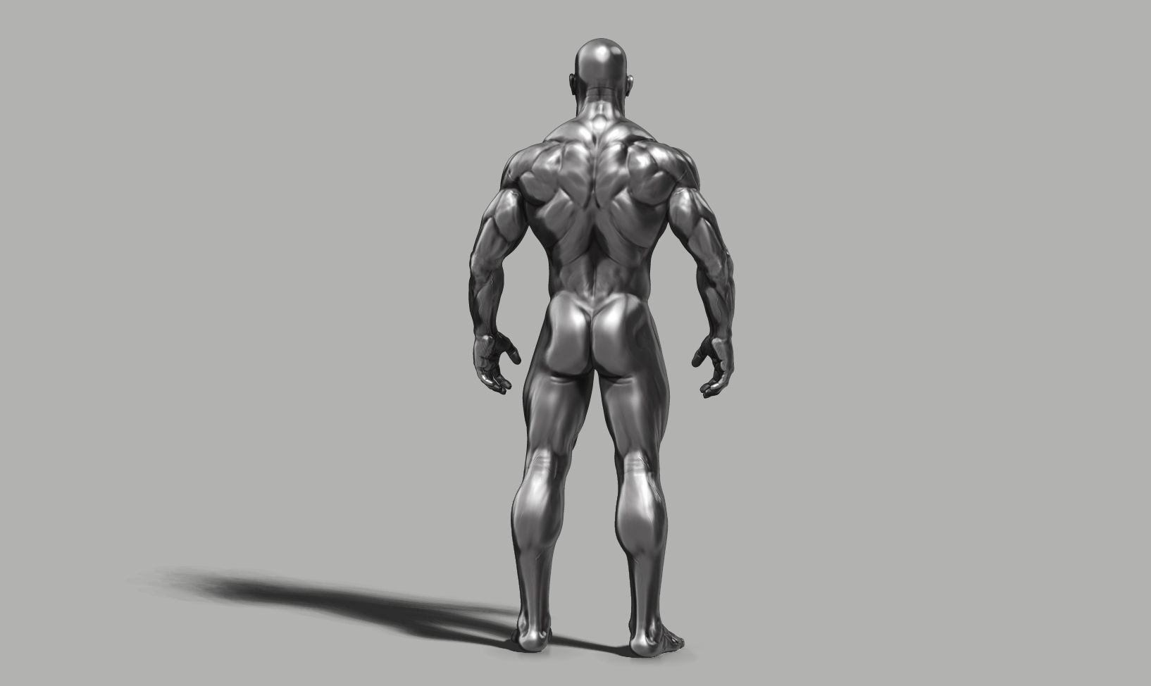 Male anatomy reference 3D print model 3D print model_34