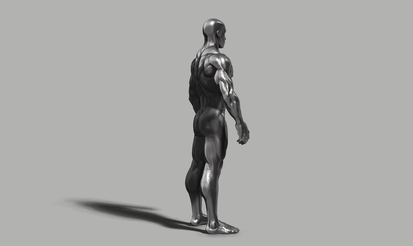 Male anatomy reference 3D print model 3D print model_32