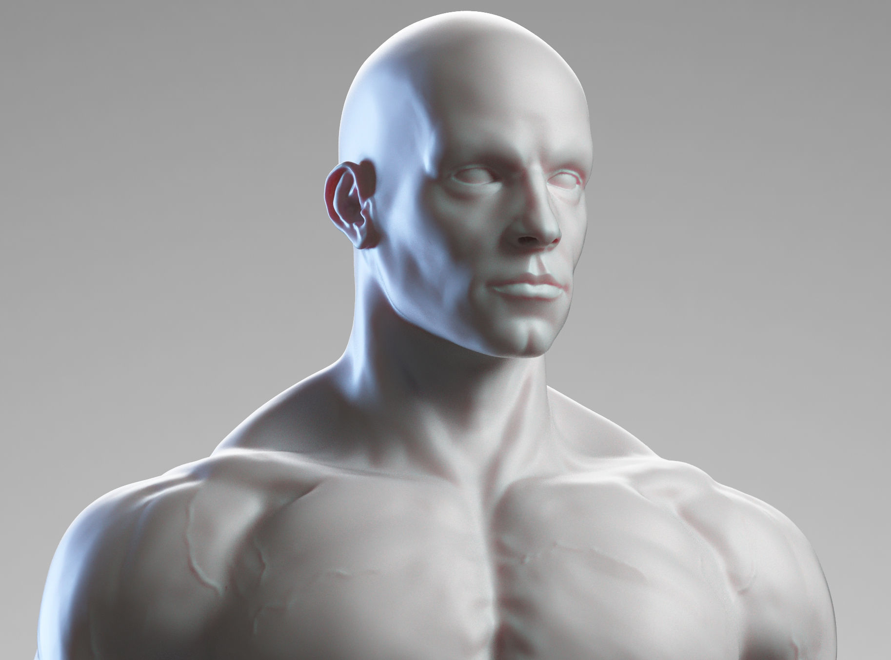 Male anatomy reference 3D print model 3D print model_2