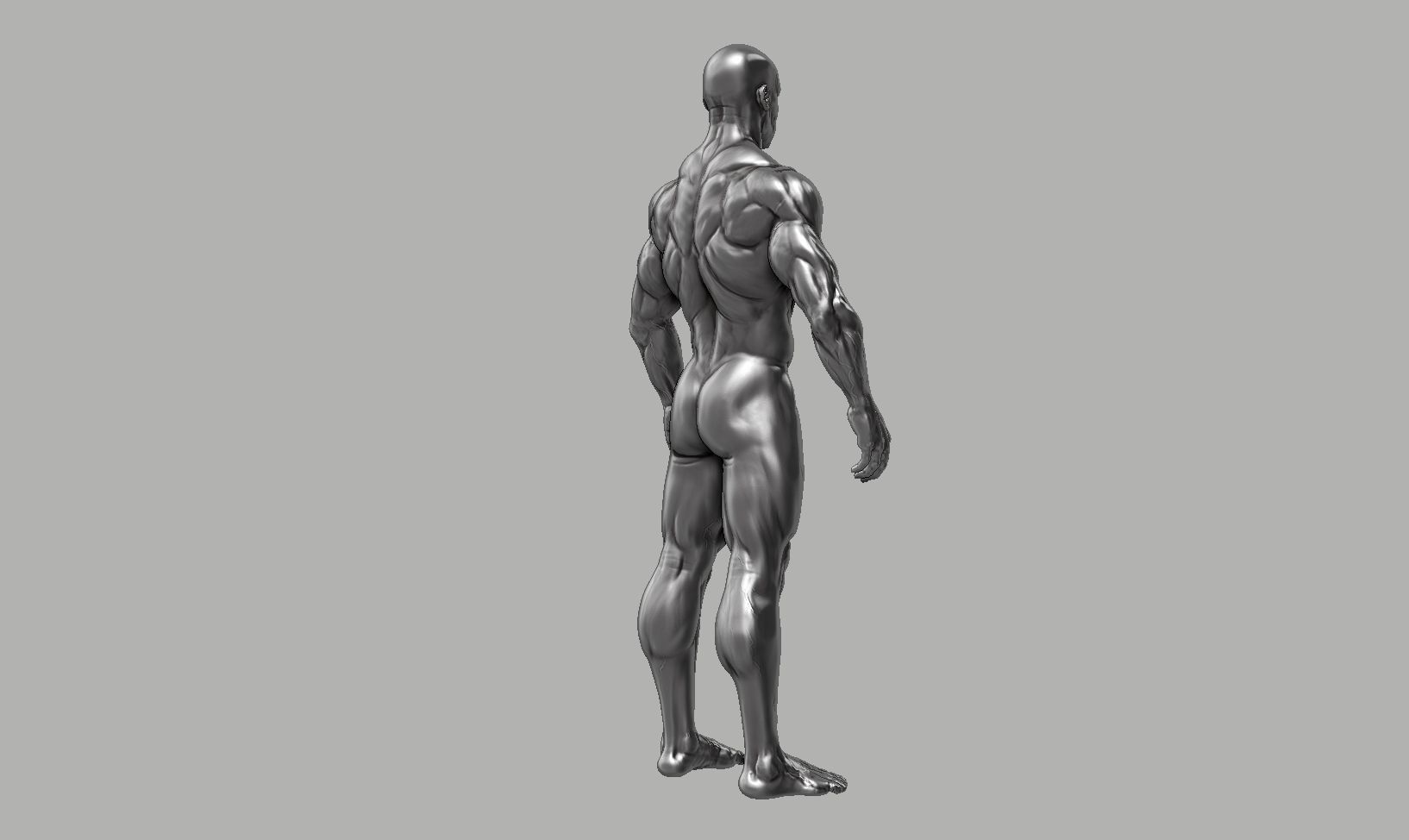 Male anatomy reference 3D print model 3D print model_44