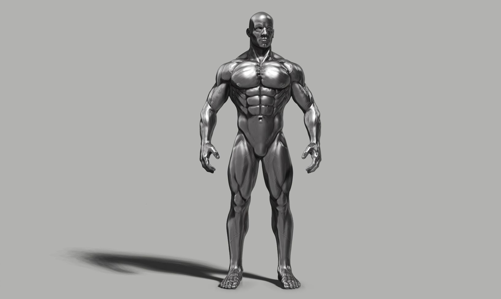 Male anatomy reference 3D print model 3D print model_40