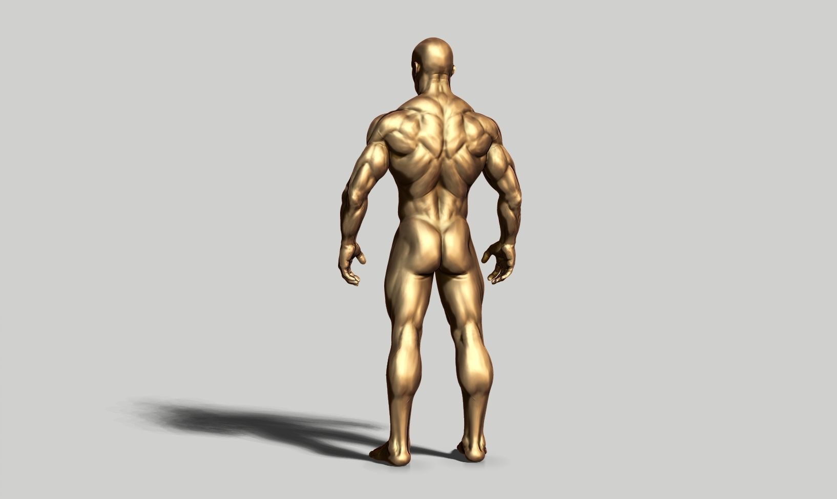 Male anatomy reference 3D print model 3D print model_47
