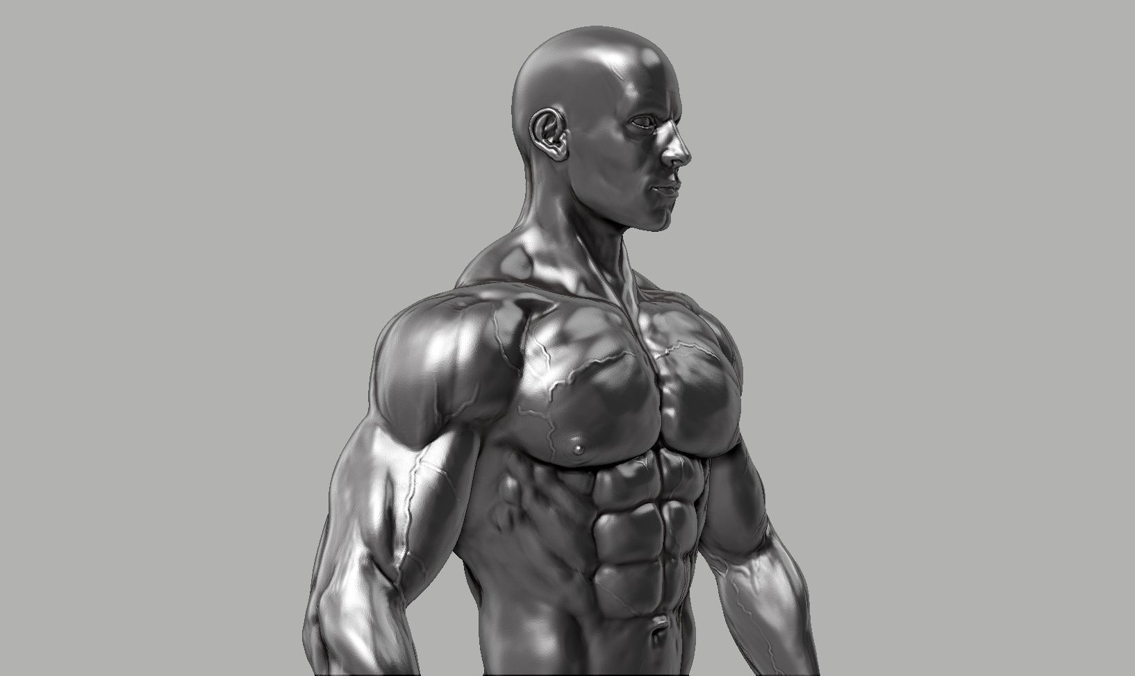 Male anatomy reference 3D print model 3D print model_10