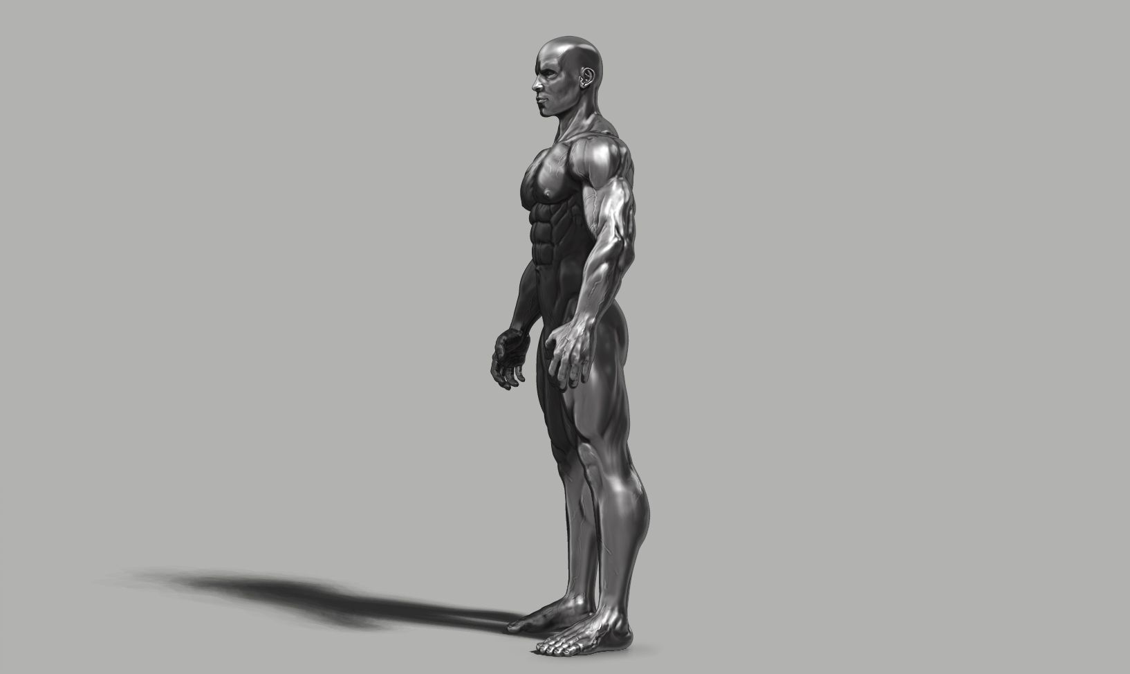 Male anatomy reference 3D print model 3D print model_38