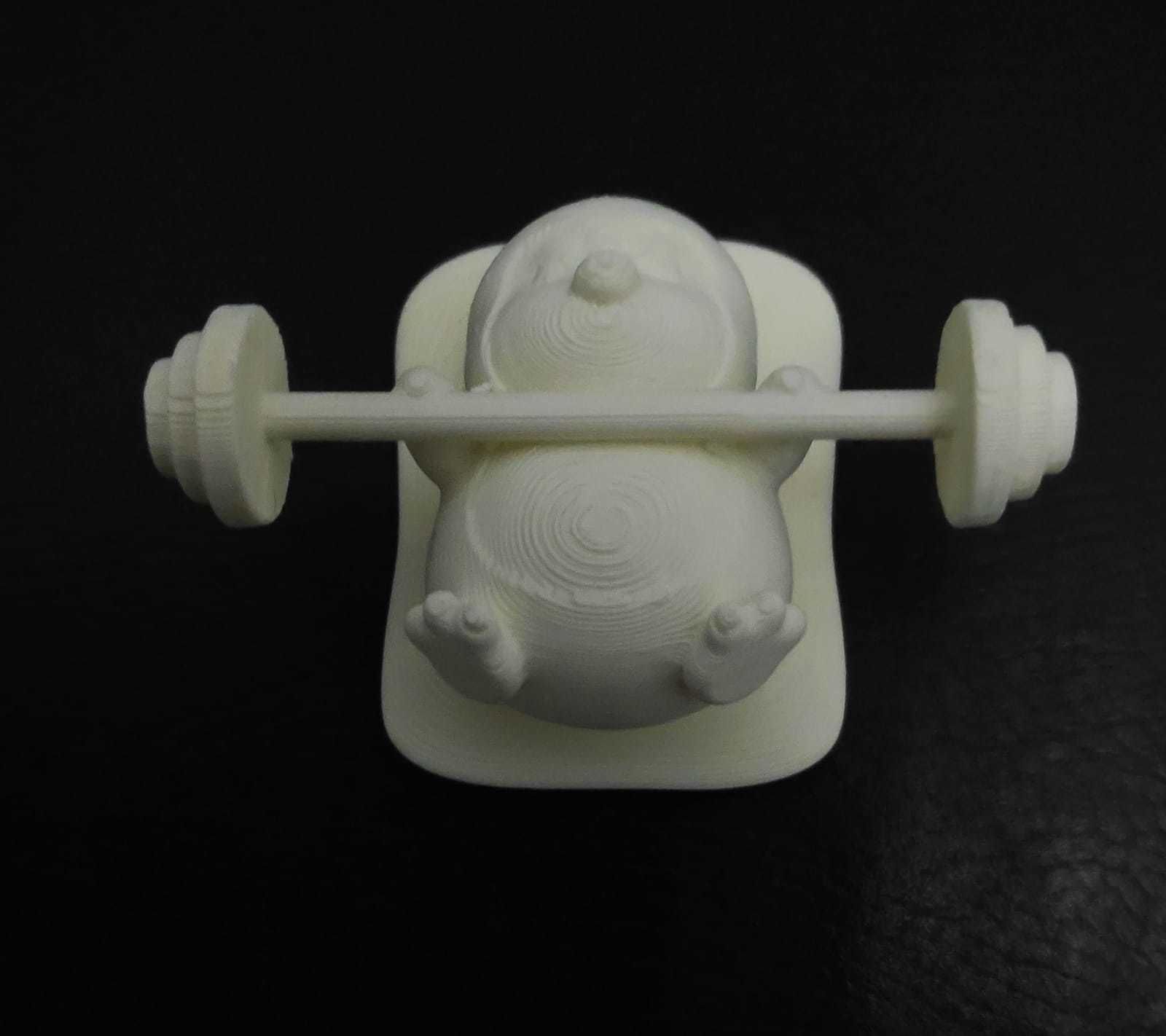 WeightLifting Penguin 3D print model_3