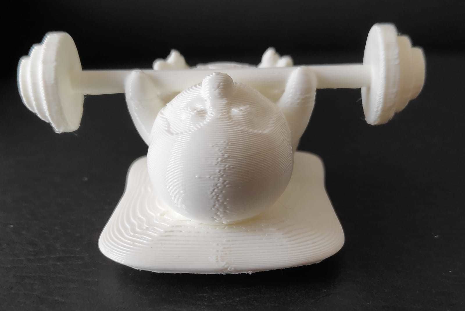 WeightLifting Penguin 3D print model_10