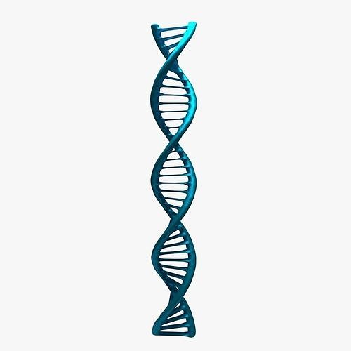 DNA helix 3D model