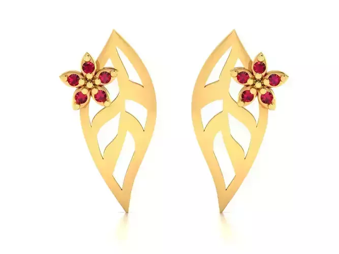 Women earrings