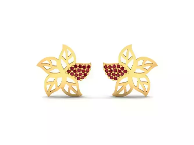 Women earrings