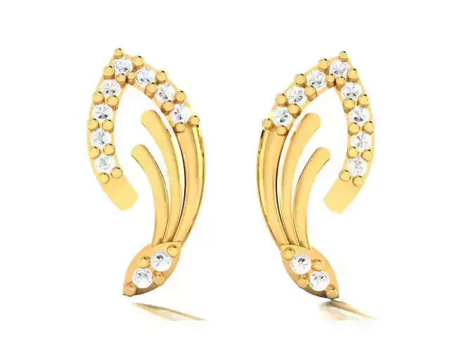 Women earrings