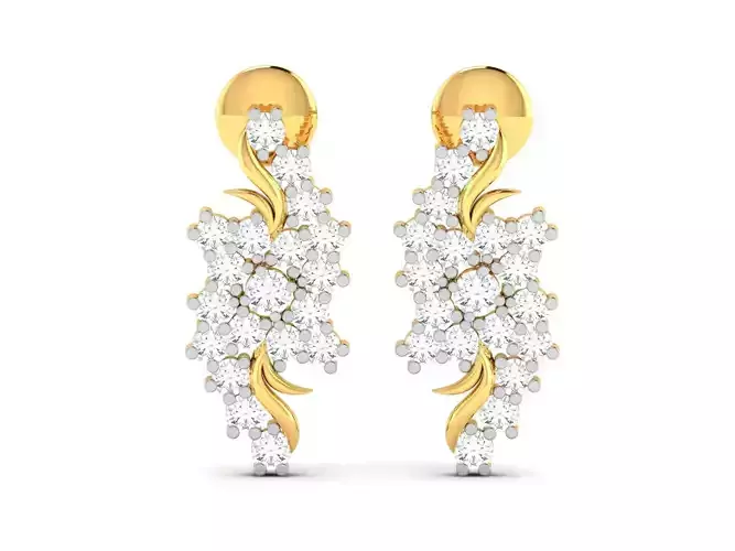 Women earrings