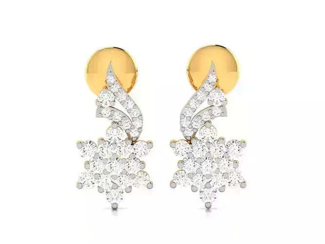 Women earrings