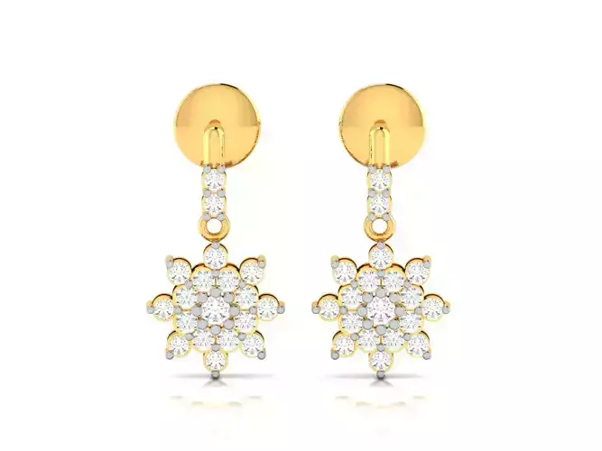 Women earrings