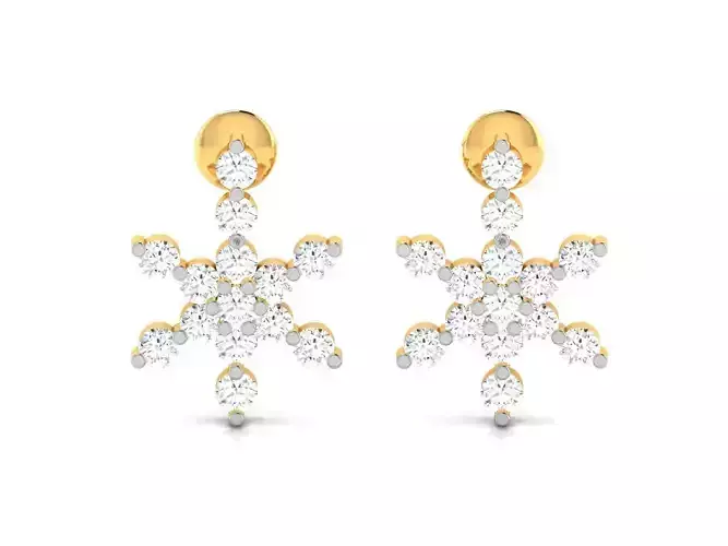 Women earrings