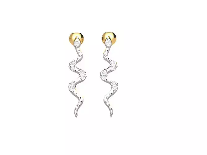 Women earrings