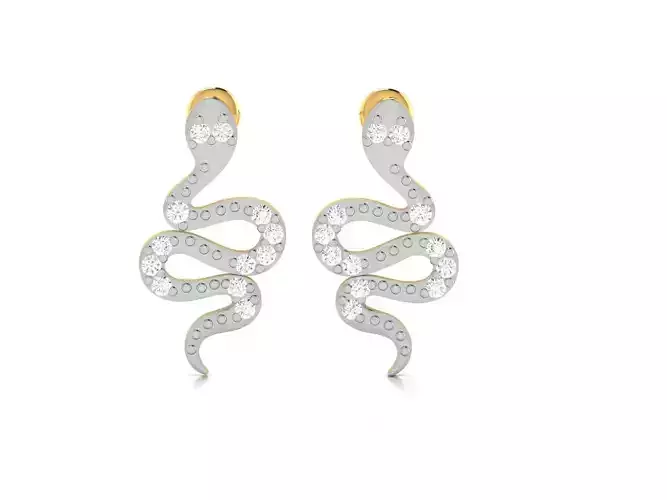 Women earrings