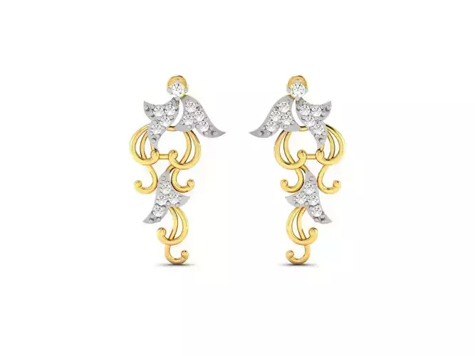 Women earrings
