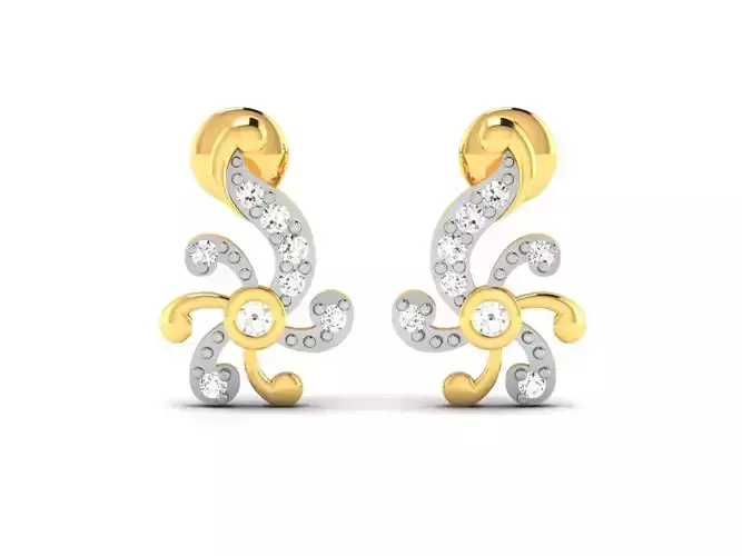 Women earrings