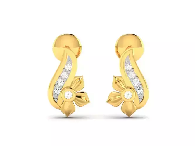 Women earrings