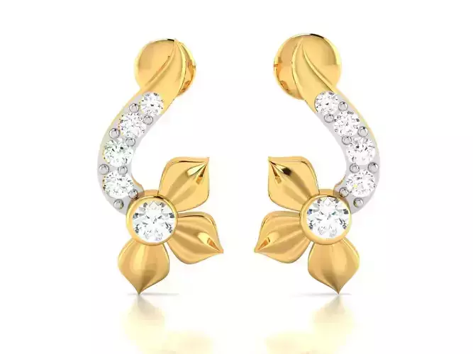 Women earrings