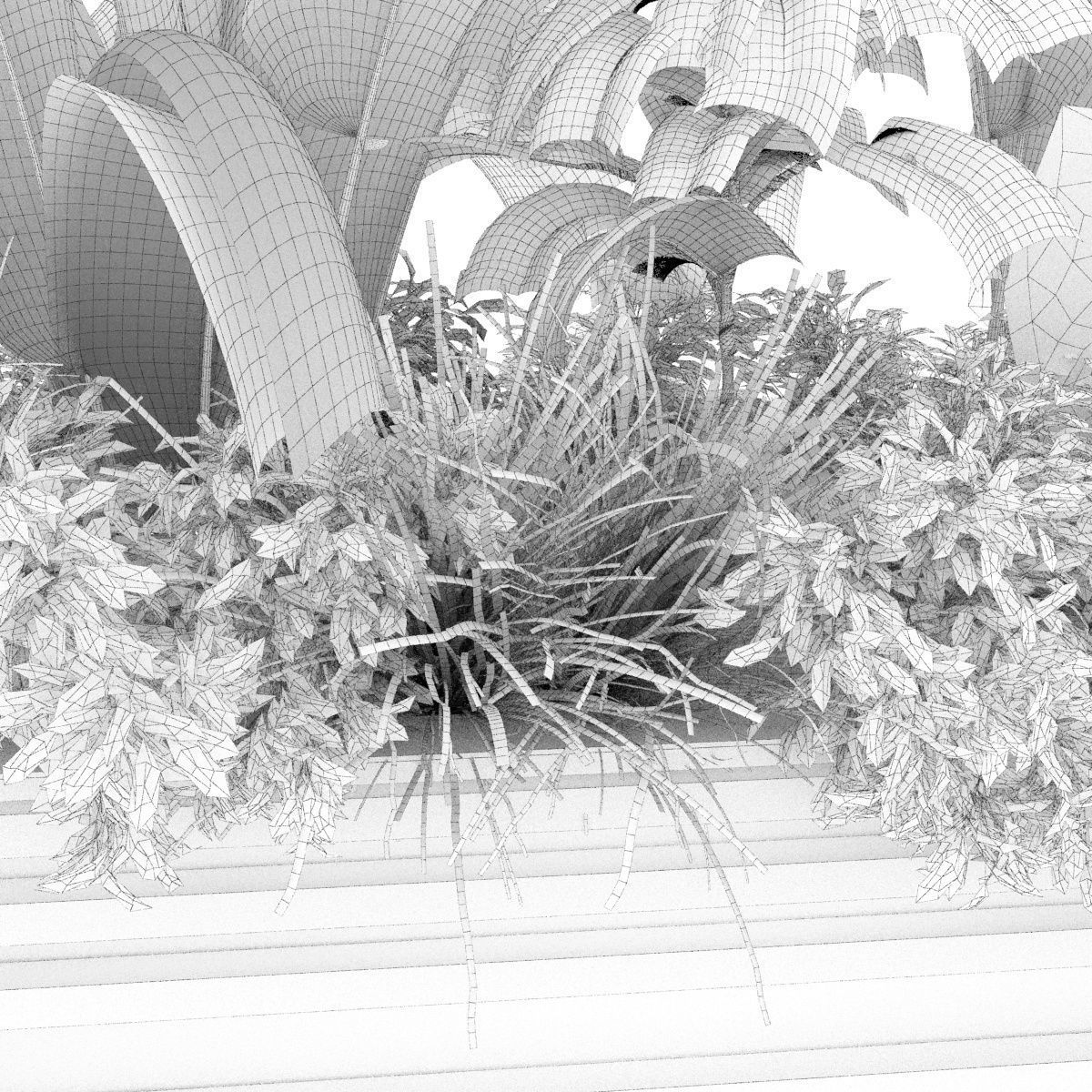 Collection plant vol 361 - banana - fiddle - monstera - grass 3D model_5