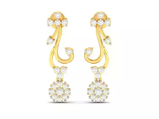 Women earrings