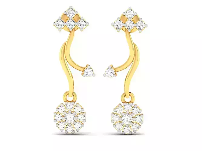 Women earrings