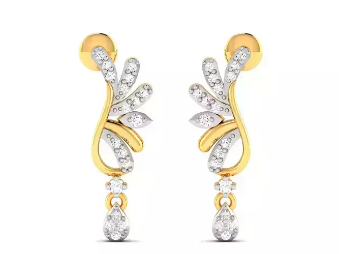 Women earrings