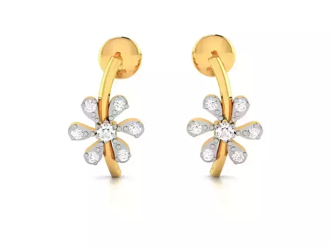Women earrings